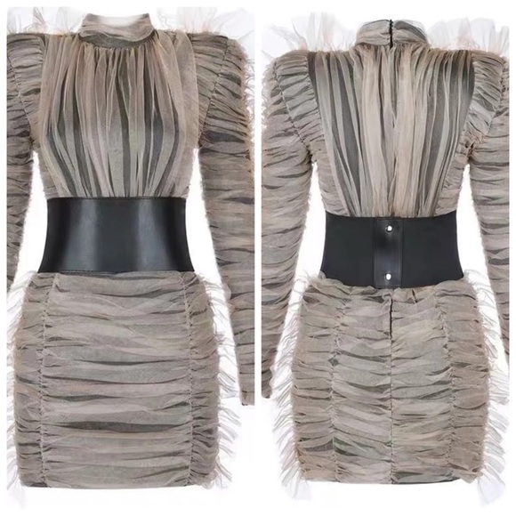 💕 The Solma Runway Pleated Tulle Dress - Picture 3 of 8